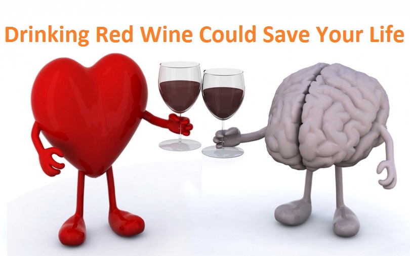 drinking red wine could save your life
