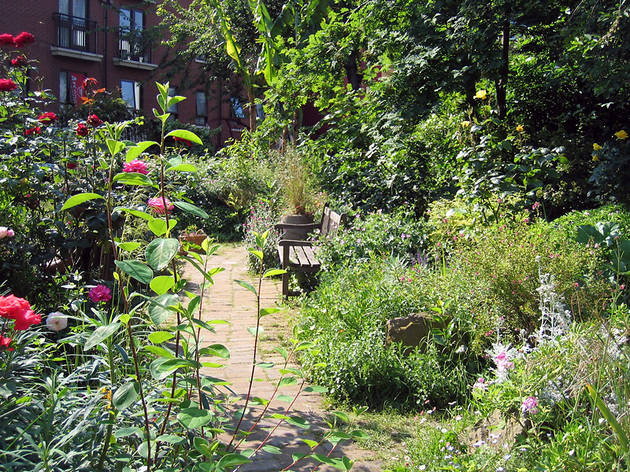 Go Green Spaces And Live Longer