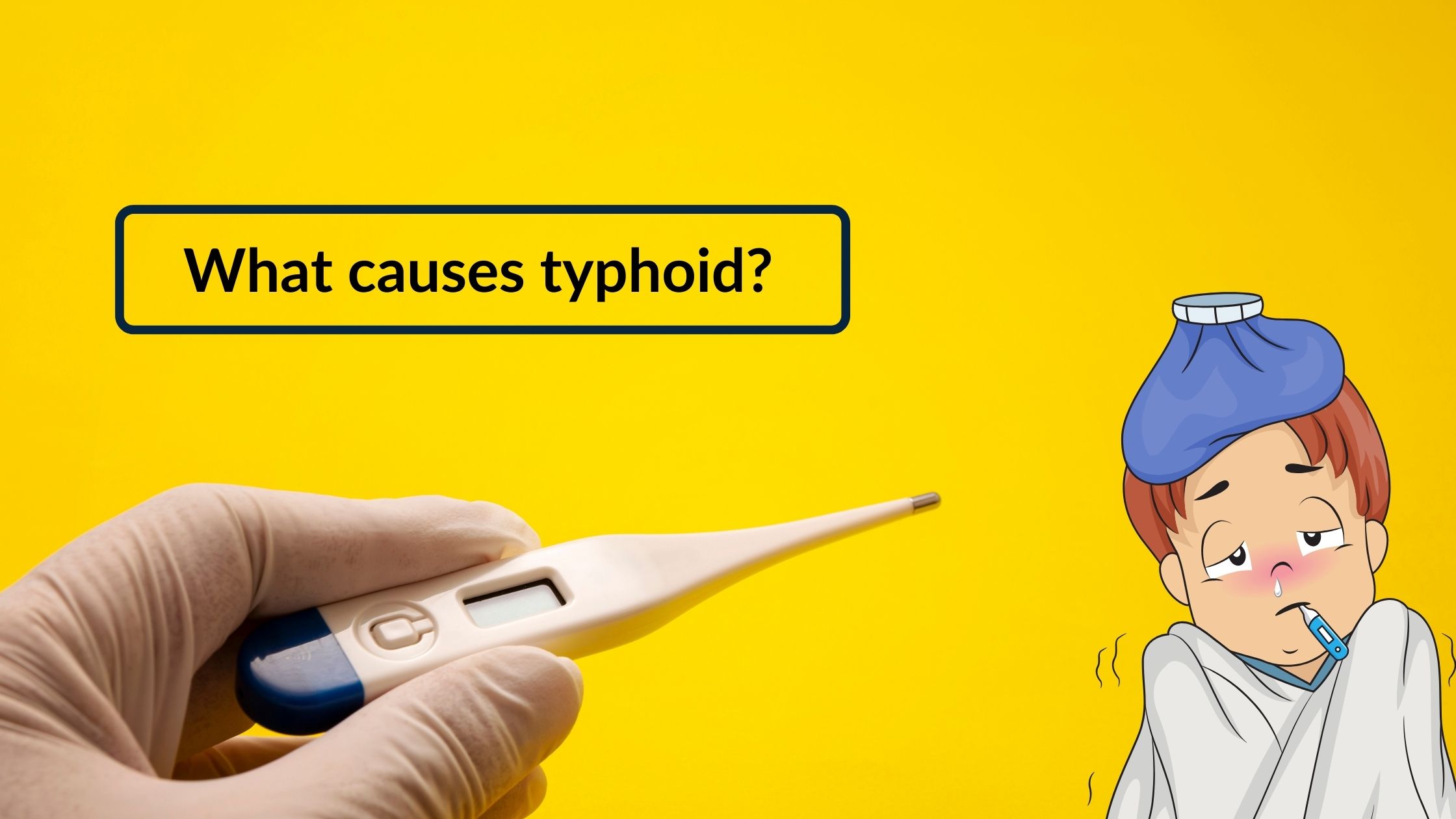What causes typhoid