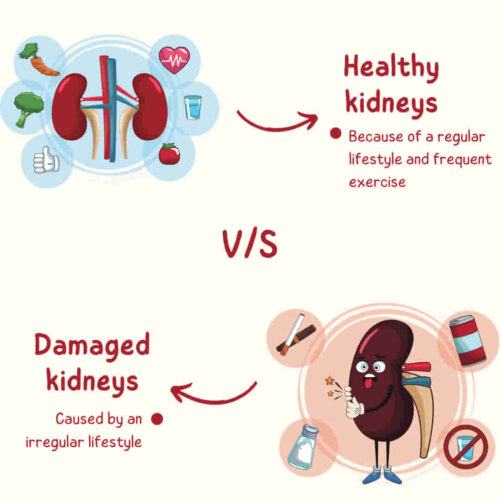 Healthy & damaged kidneys
