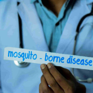 mosquito borne disease