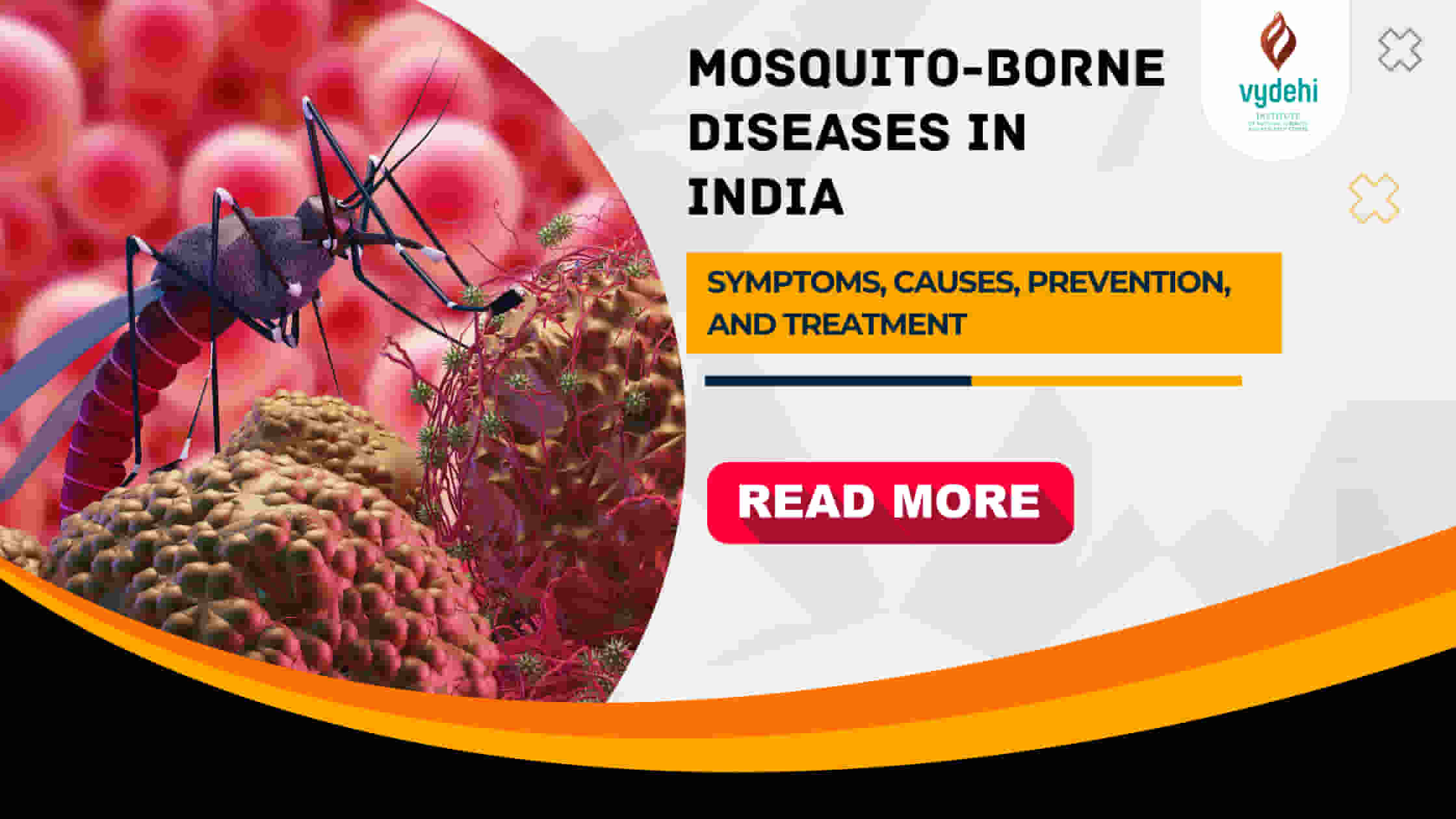 Mosquito Borne Diseases in India