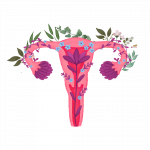Gynecologist’s Choice