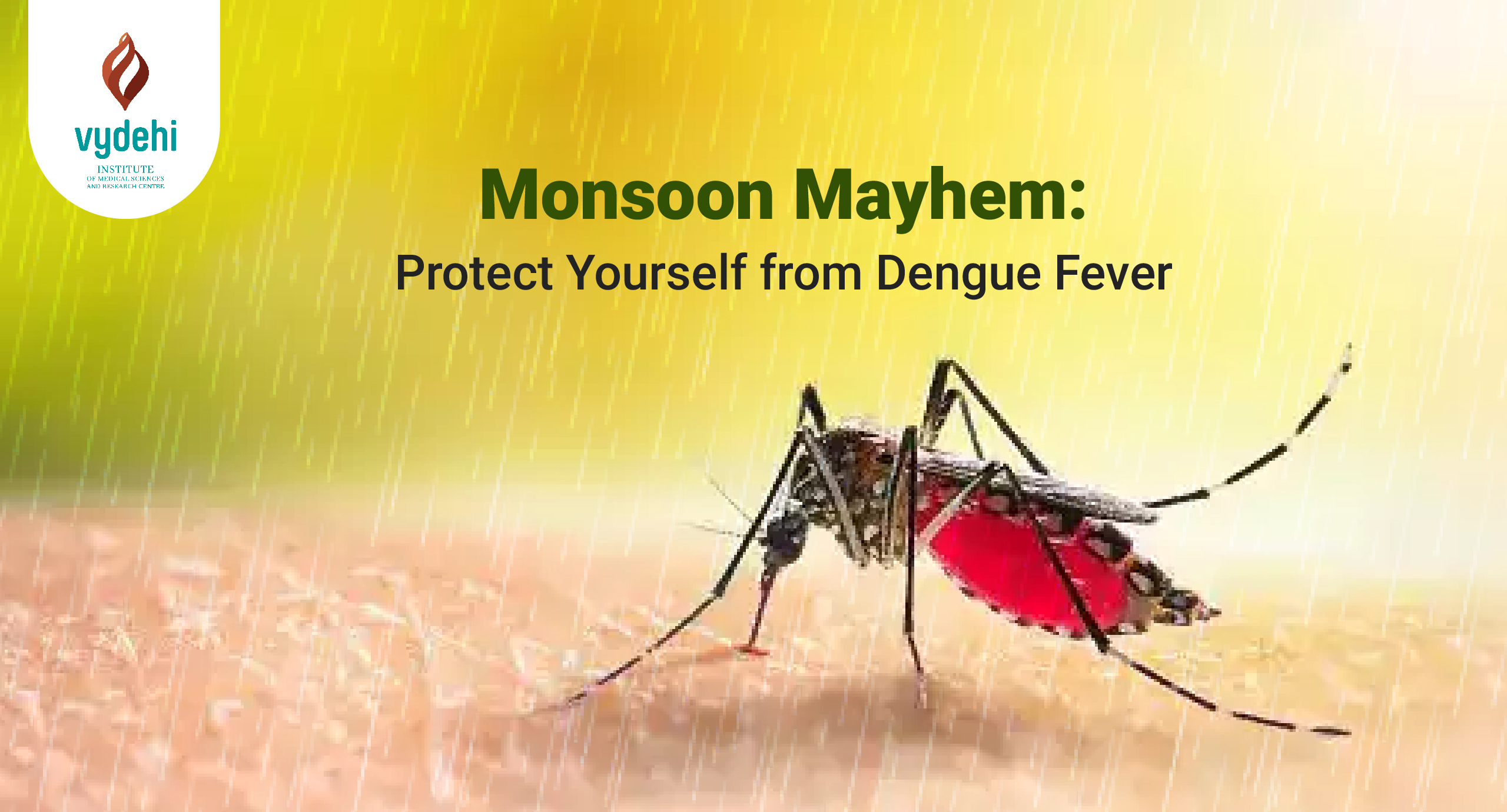 Dengue Free Monsoon: Beat the Dengue Threat | VIMS&RC