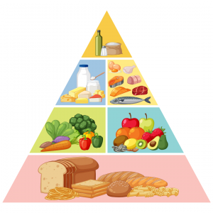 7 components of a balanced diet