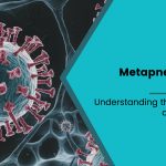 Human Metapneumovirus