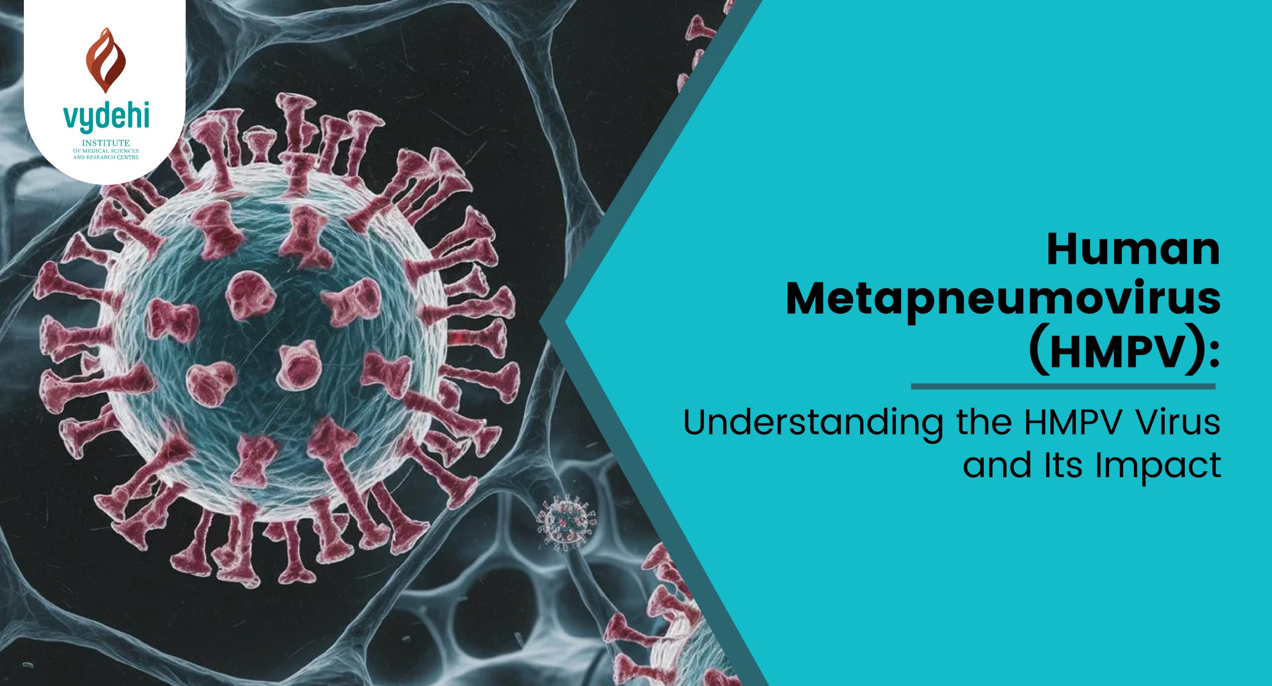 Human Metapneumovirus