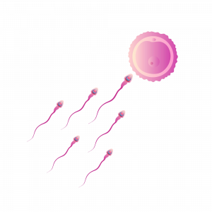 Vydehi Fertility Clinic