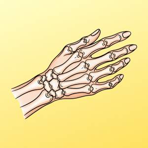 Bone & Joint Screening