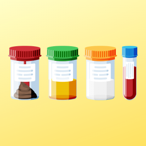 Urine & Stool Examination