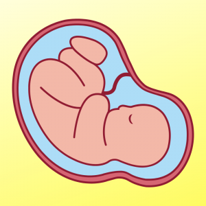 Emergency Obstetric & Gynecology Care